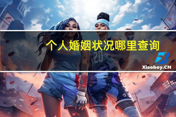 个人婚姻状况哪里查询