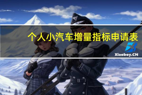 个人小汽车增量指标申请表