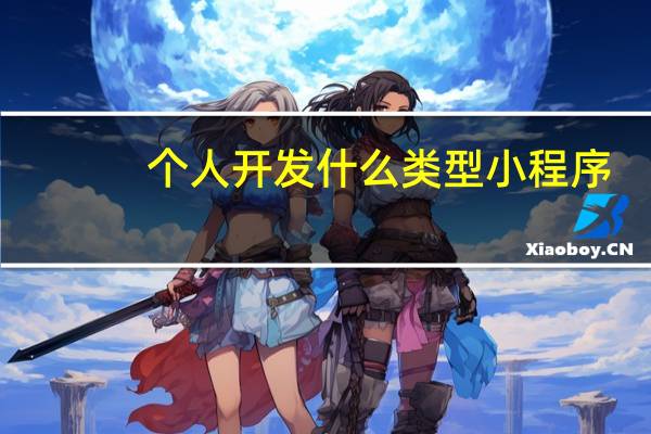个人开发什么类型小程序