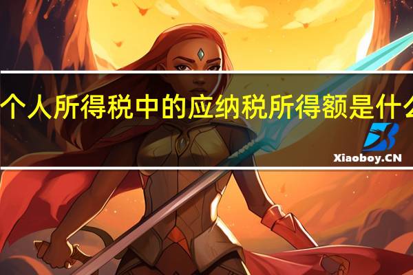 个人所得税中的应纳税所得额是什么意思