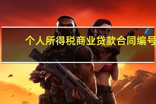 个人所得税商业贷款合同编号
