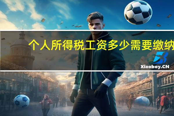 个人所得税工资多少需要缴纳
