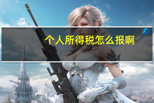 个人所得税怎么报啊