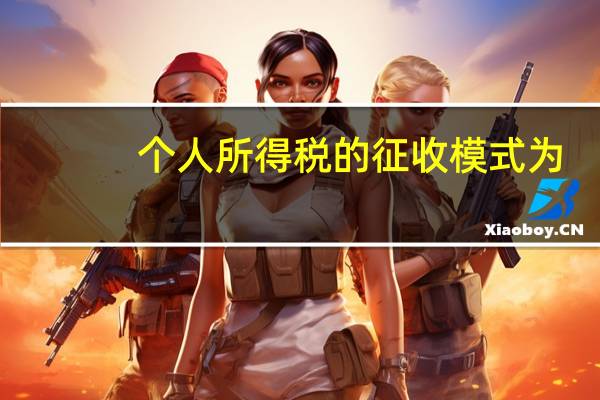 个人所得税的征收模式为