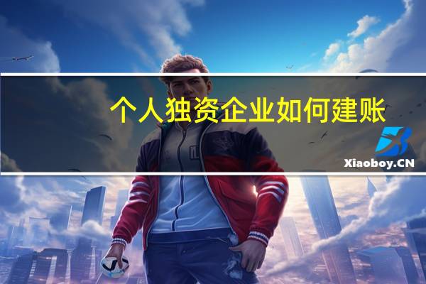 个人独资企业如何建账