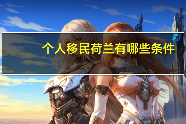 个人移民荷兰有哪些条件