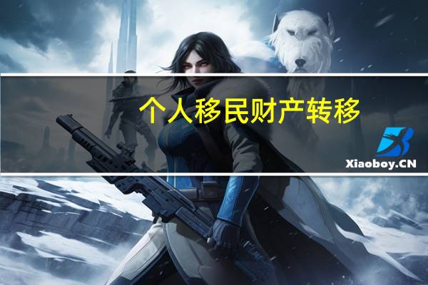 个人移民财产转移