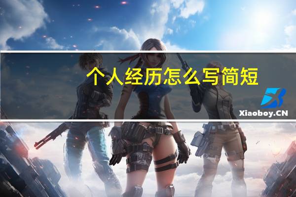 个人经历怎么写简短