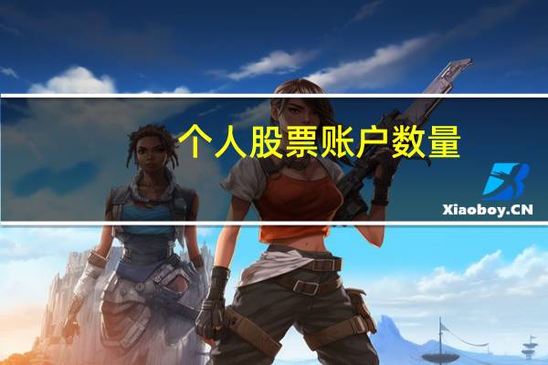 个人股票账户数量