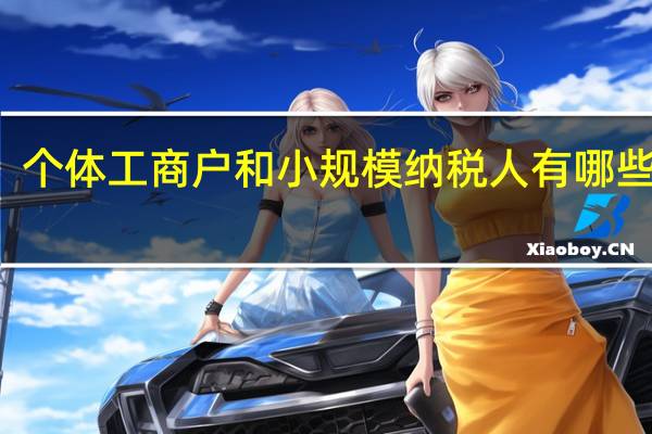 个体工商户和小规模纳税人有哪些区别