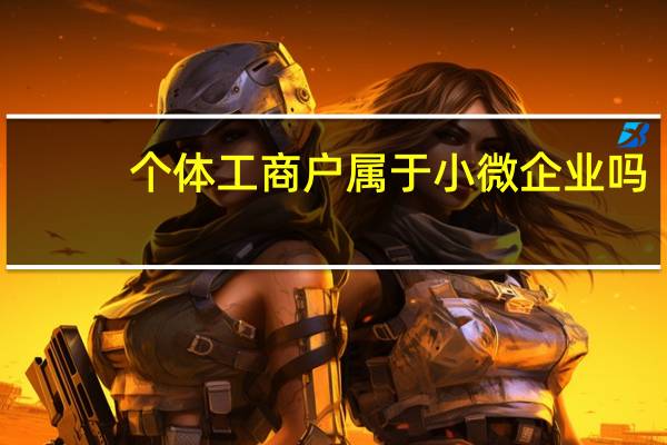 个体工商户属于小微企业吗
