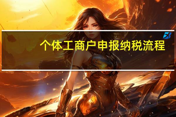 个体工商户申报纳税流程