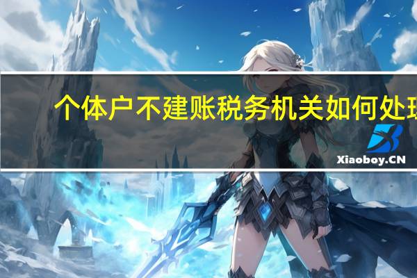 个体户不建账税务机关如何处理
