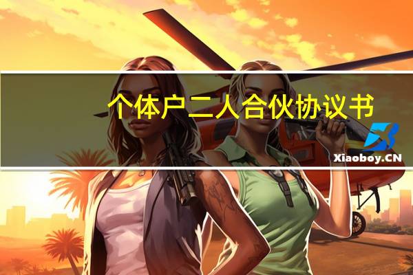 個體戶二人合伙協議書