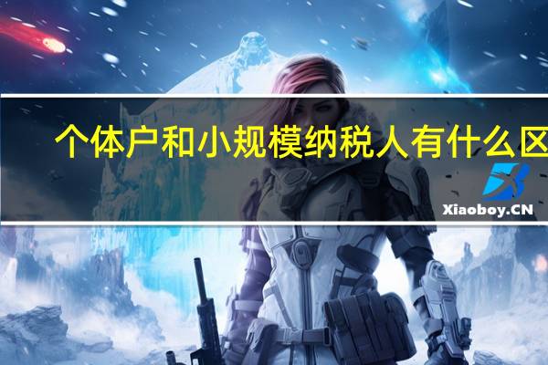 个体户和小规模纳税人有什么区别