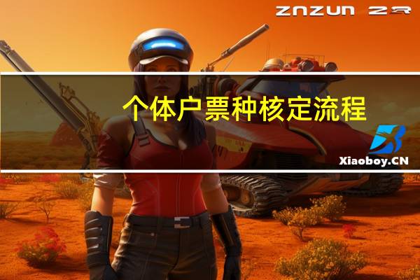 个体户票种核定流程