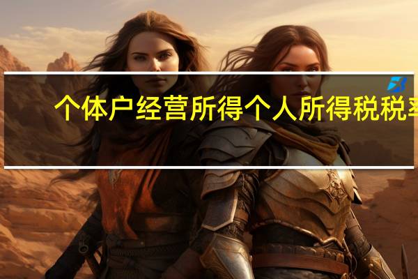 个体户经营所得个人所得税税率