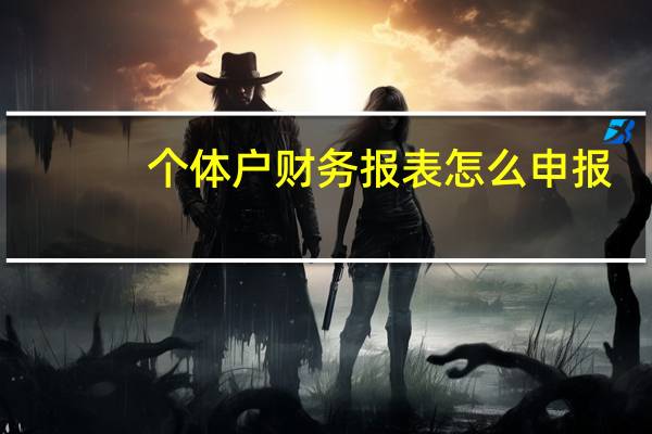 个体户财务报表怎么申报