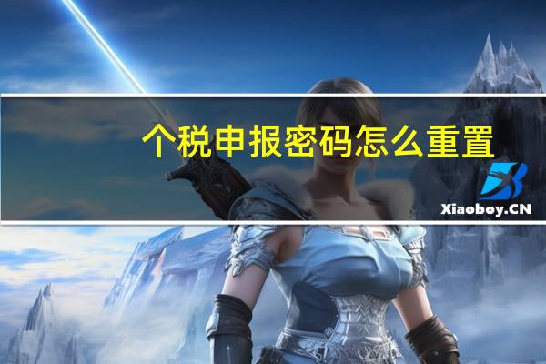 个税申报密码怎么重置