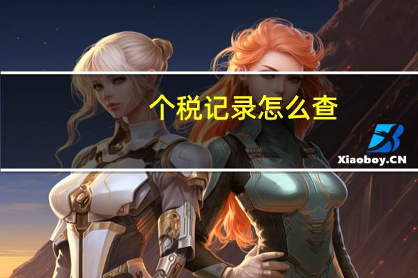 个税记录怎么查