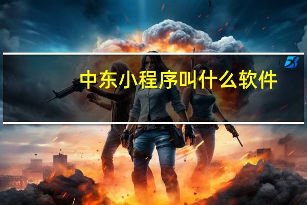 中东小程序叫什么软件