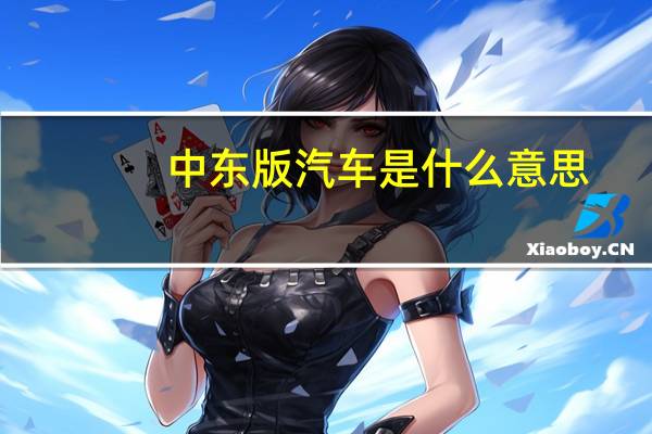 中东版汽车是什么意思