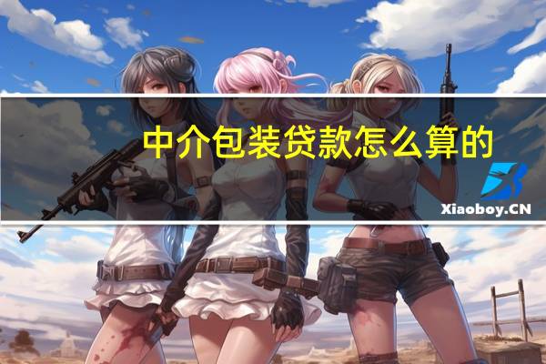 中介包装贷款怎么算的