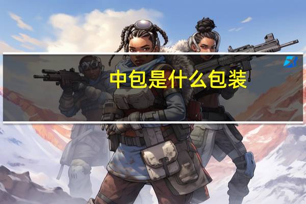 中包是什么包装