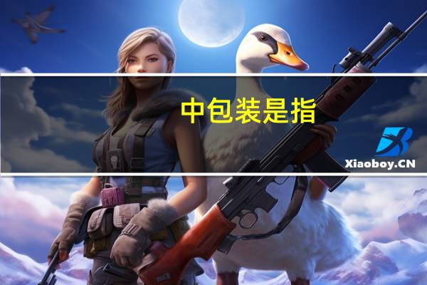 中包装是指