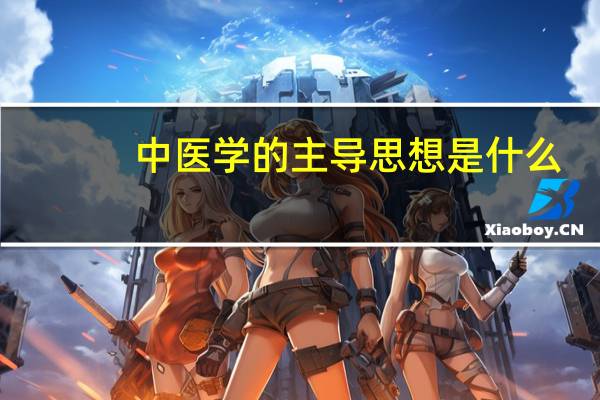 中医学的主导思想是什么