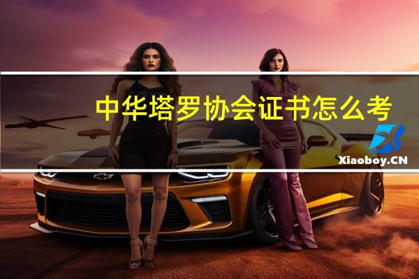 中华塔罗协会证书怎么考