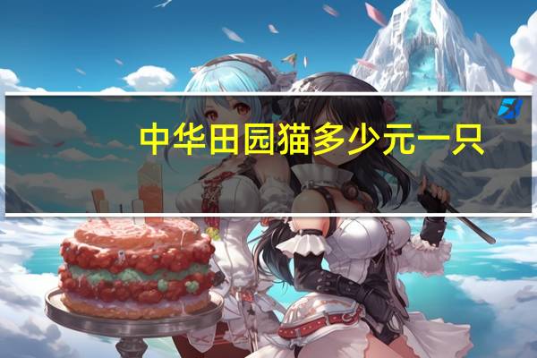 中华田园猫多少元一只