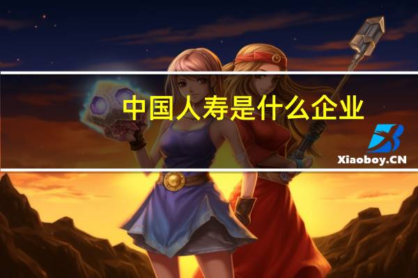中国人寿是什么企业