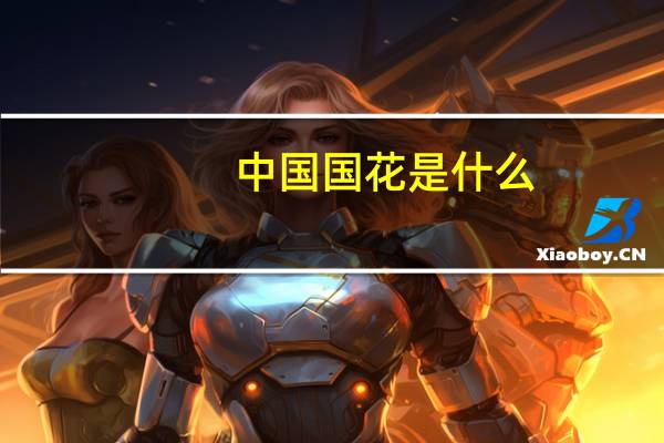 中国国花是什么