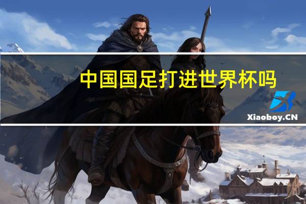 中国国足打进世界杯吗