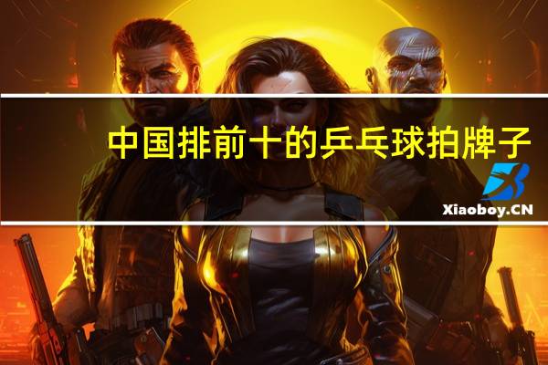 中国排前十的乒乓球拍牌子