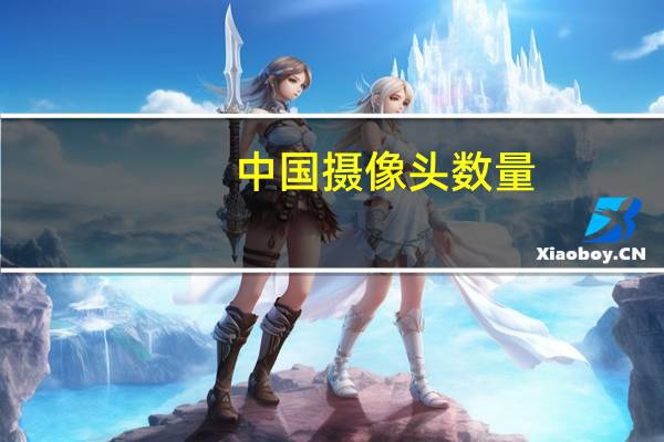 中国摄像头数量