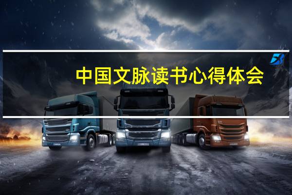 中国文脉读书心得体会