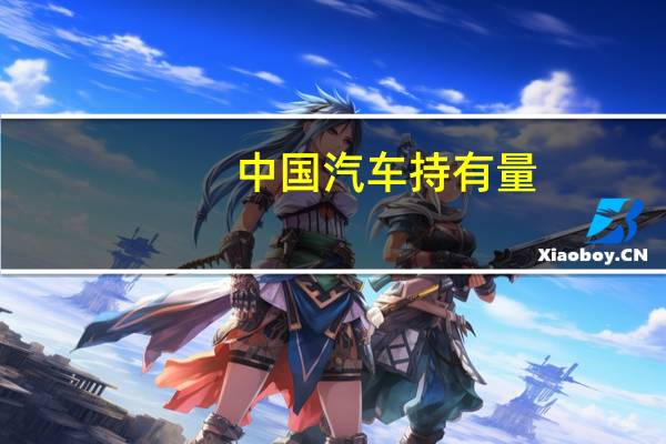 中国汽车持有量