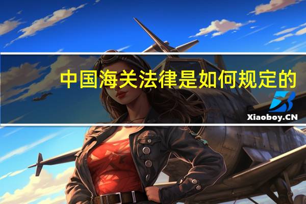 中国海关法律是如何规定的