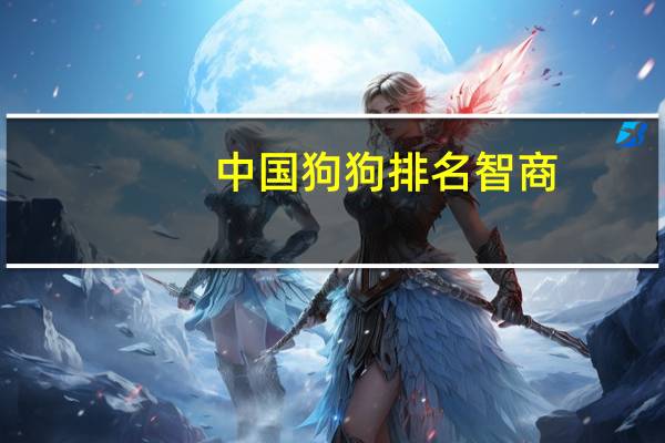 中国狗狗排名智商