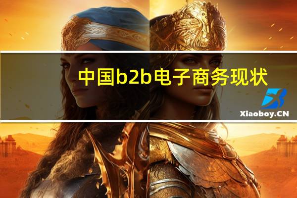 中国b2b电子商务现状