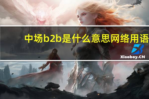 中场b2b是什么意思网络用语