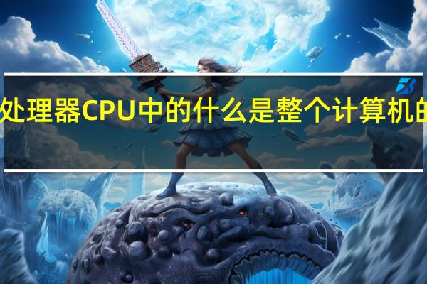 中央处理器CPU中的什么是整个计算机的指挥中心