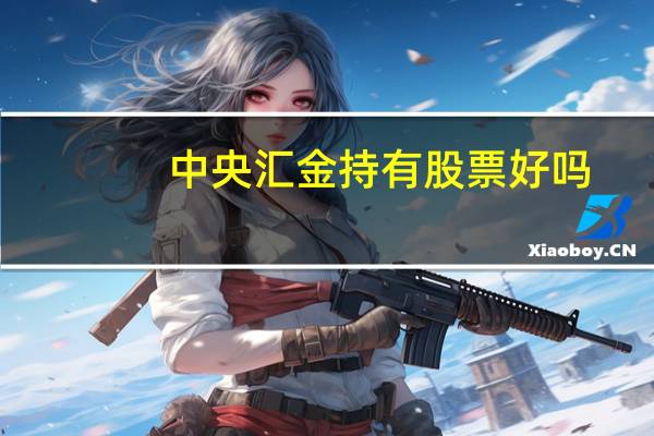 中央汇金持有股票好吗