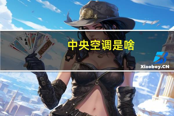 中央空调是啥