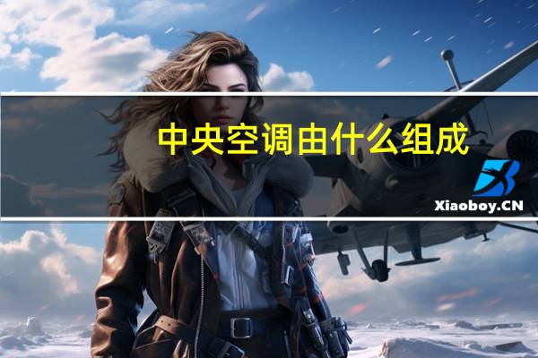 中央空调由什么组成