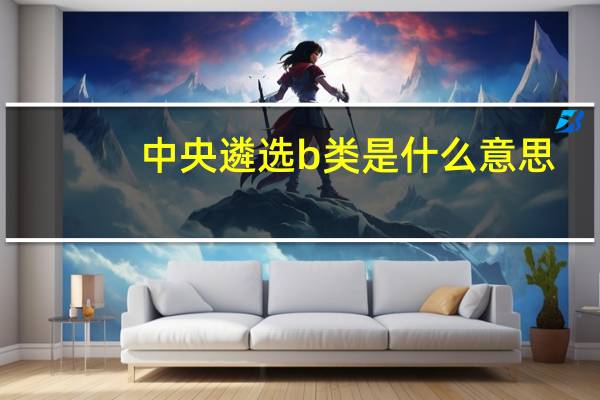 中央遴选b类是什么意思