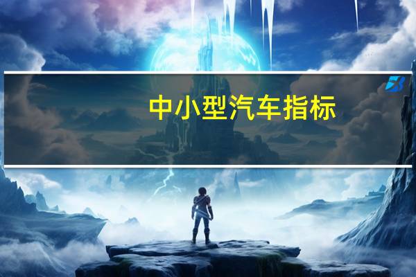 中小型汽车指标