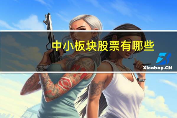 中小板块股票有哪些